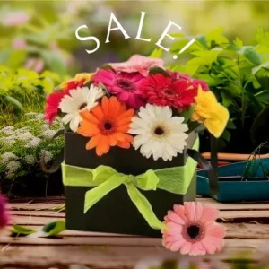 afthimeron-apostoli-loyloydion-se-athina