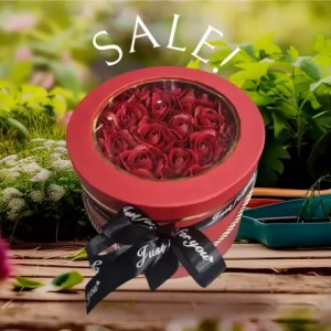 apostoli-loyloydia-sto-spiti