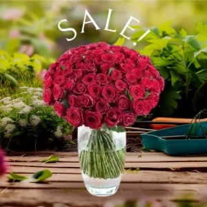 apostoli-loyloydion-athina