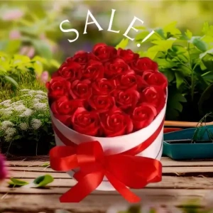 apostoli-syntheseis-louloydion-stin-athina