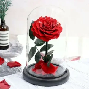forever-roses-delivery
