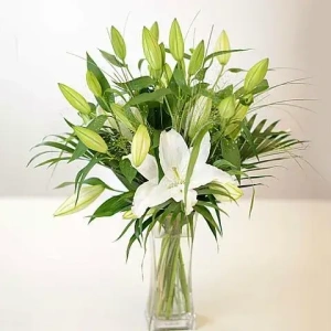 leuka-lilioum_1936356514