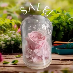 same-day-flowers-delivery-athens-greece_1565778531