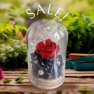 send-flowers-same-day-to-athens-greece