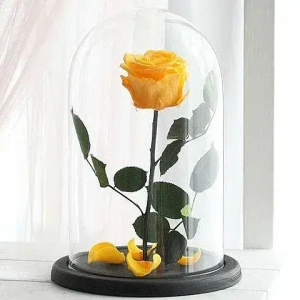 yellow-forever-roses-delivery