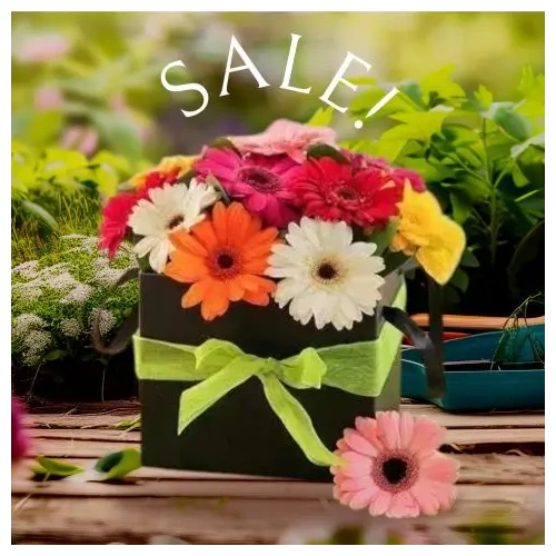 afthimeron-apostoli-loyloydion-se-athina