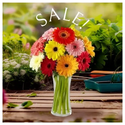 apostoli-anthodesmes-louloydion-afthimeron-stin-athina