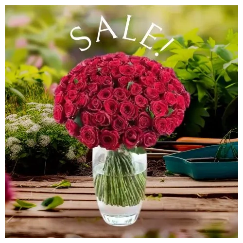 apostoli-loyloydion-athina