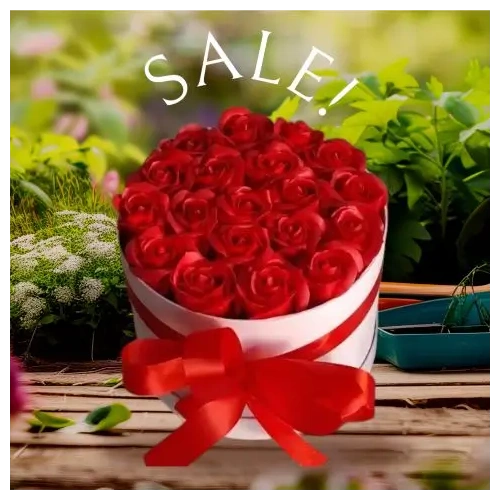 apostoli-syntheseis-louloydion-stin-athina