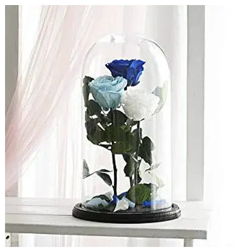 Η Αιώνια Ομορφιά της Αγάπης