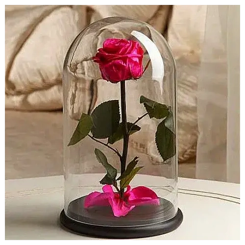 Κομψότητα που Διαρκεί