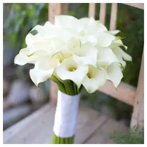 nyfikh-anthodesmh-me-kales