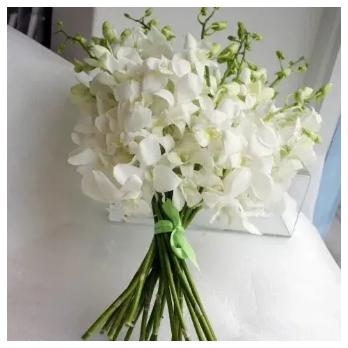 nyfikh-anthodesmh-me-orxidees