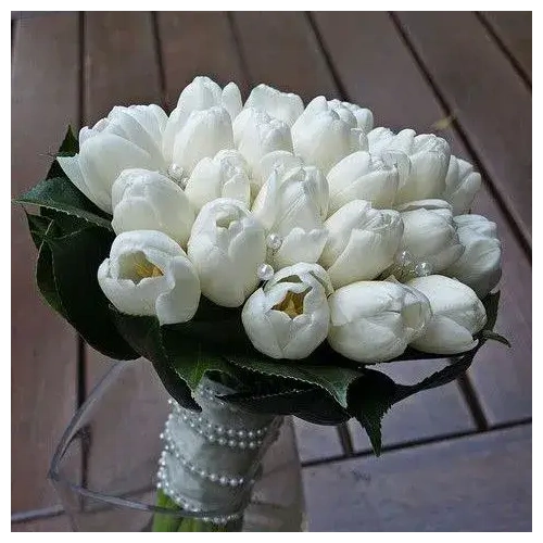 nyfikh-anthodesmh-me-toylipes