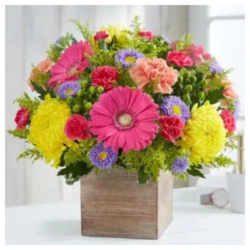 paradosh-kalathia-loyloydion-steilte-online-syntheseis-dvrvn_1411621379