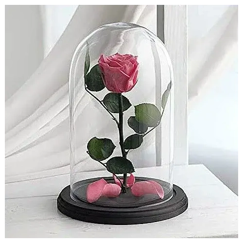 Αθάνατα Λουλούδια, Αιώνια Συναισθήματα