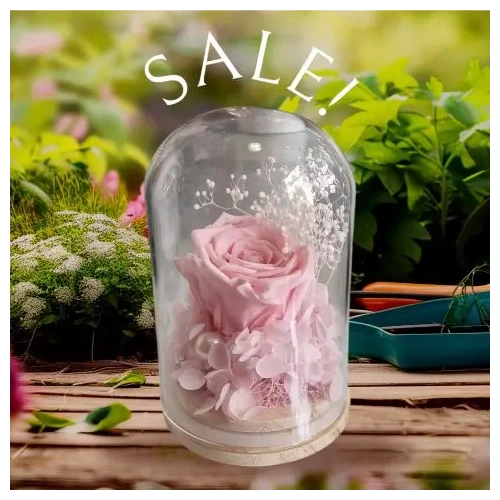 same-day-flowers-delivery-athens-greece_1565778531