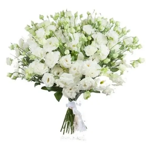 sympathy-funeral-flowers-delivery-to-athens