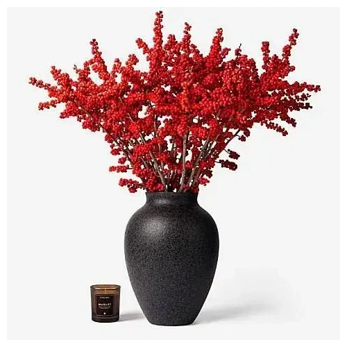 xristoygenniatika-diakosmitika-kladia-loyloydia-ilex-gki-apostoli-loyloydia-ton-xristoygennon_1